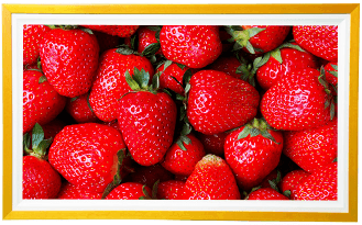  High-definition Vision, Vivid Colors